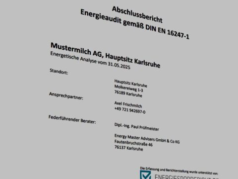 Energieaudit Musterbericht