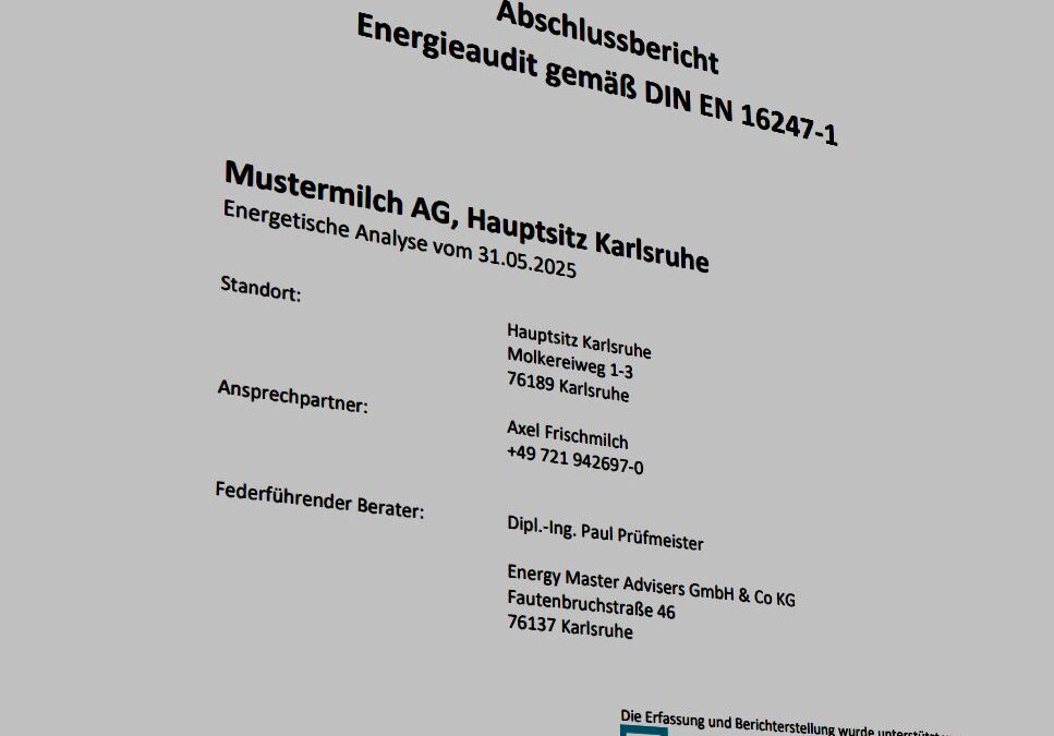 Energieaudit Musterbericht