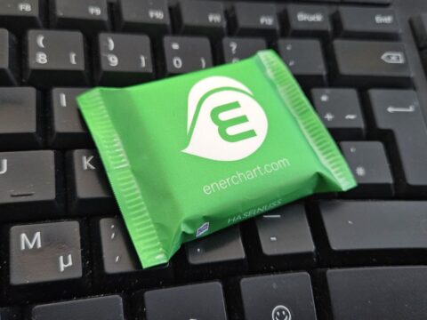 Lastmanagement auf der E-World 2006